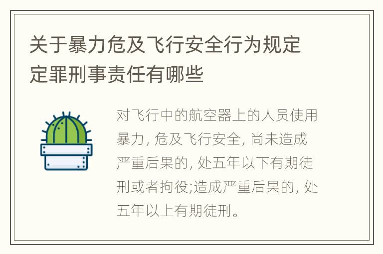 关于暴力危及飞行安全行为规定定罪刑事责任有哪些