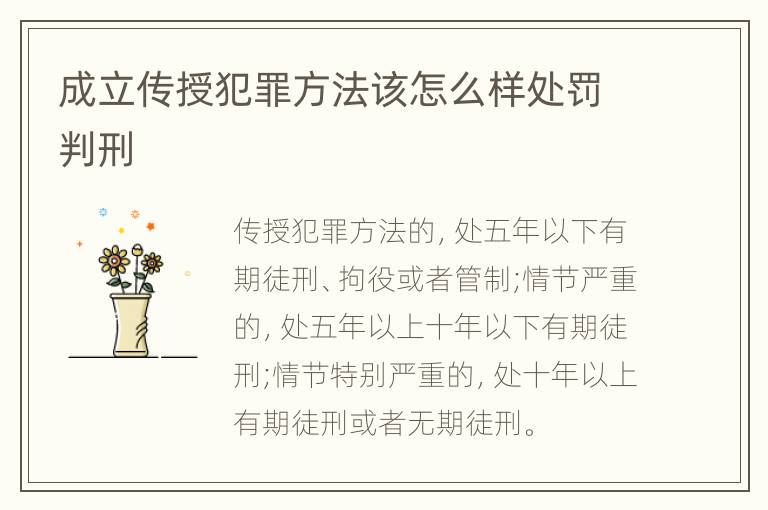 成立传授犯罪方法该怎么样处罚判刑