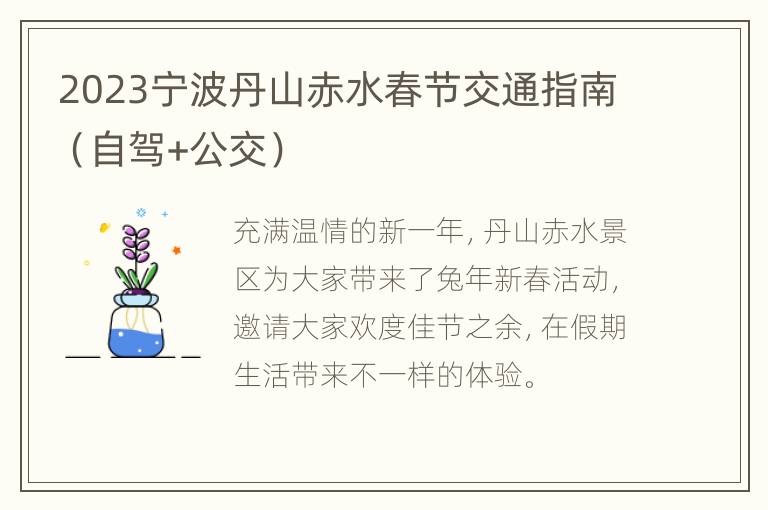 2023宁波丹山赤水春节交通指南（自驾+公交）