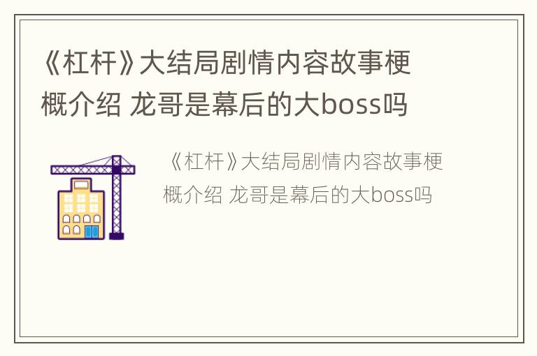 《杠杆》大结局剧情内容故事梗概介绍 龙哥是幕后的大boss吗