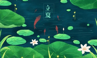 2021年5月5日立夏吃啥 立夏吃什么