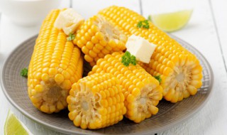 宝宝吃的鲜玉米粒怎么做 玉米粒怎么做宝宝辅食