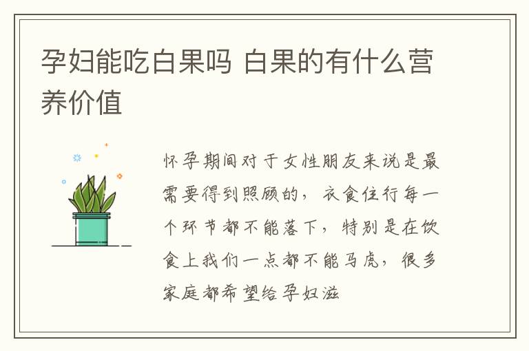 孕妇能吃白果吗 白果的有什么营养价值