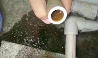 水管里面有绿苔怎么冲洗干净? 水管里面有绿苔如何冲洗干净