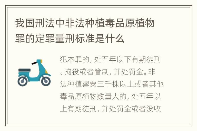 我国刑法中非法种植毒品原植物罪的定罪量刑标准是什么