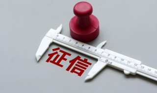 人个人征信怎么查 如何查询个人征信
