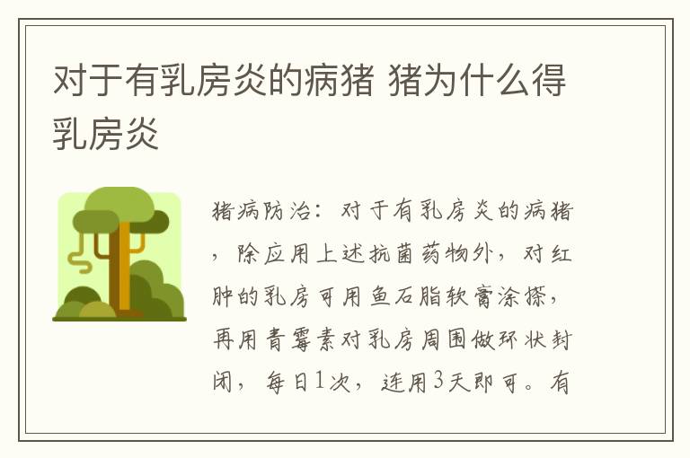对于有乳房炎的病猪 猪为什么得乳房炎