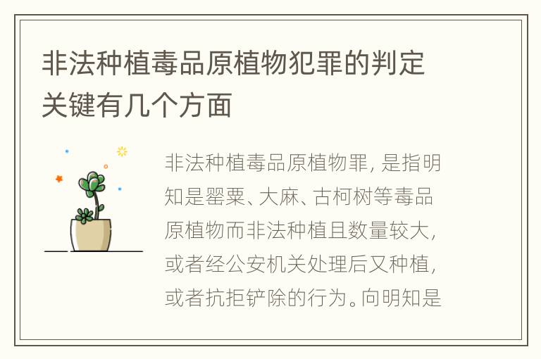 非法种植毒品原植物犯罪的判定关键有几个方面