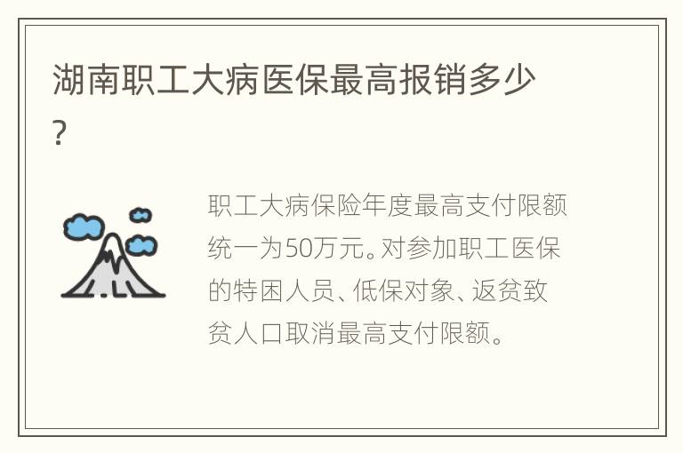 湖南职工大病医保最高报销多少？