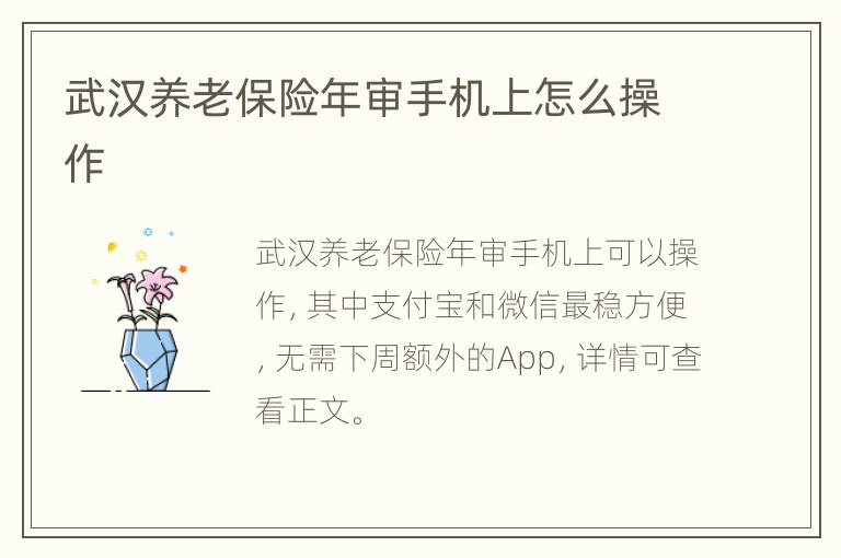 武汉养老保险年审手机上怎么操作