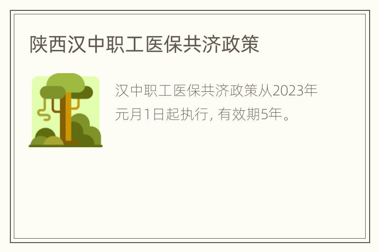 陕西汉中职工医保共济政策
