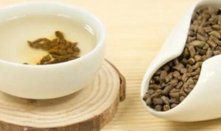 决明子可以长期泡水喝吗（决明子可以长期泡水喝吗治疗血压高）
