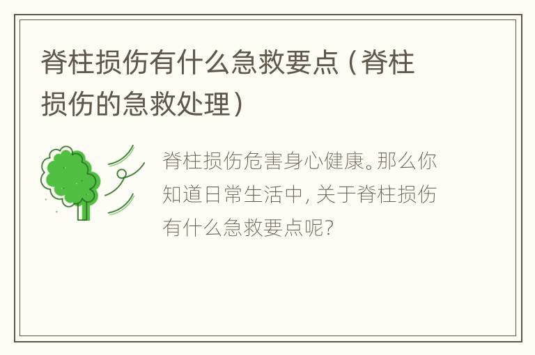脊柱损伤有什么急救要点（脊柱损伤的急救处理）