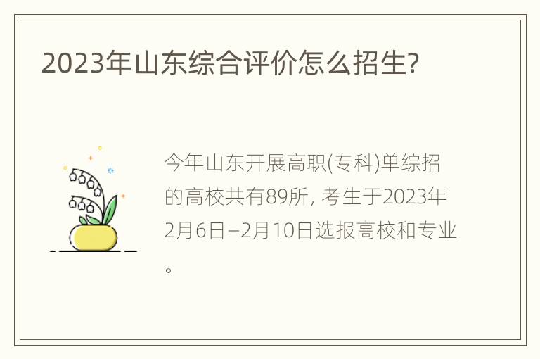 2023年山东综合评价怎么招生？