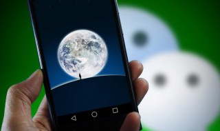 如何在微信申请电子社保卡 怎么在微信申请电子社保卡