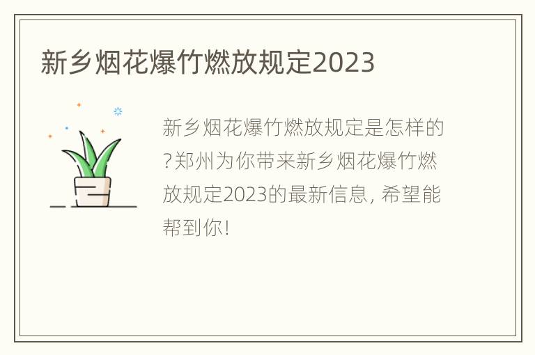 新乡烟花爆竹燃放规定2023