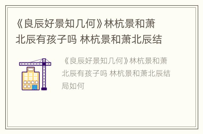 《良辰好景知几何》林杭景和萧北辰有孩子吗 林杭景和萧北辰结局如何