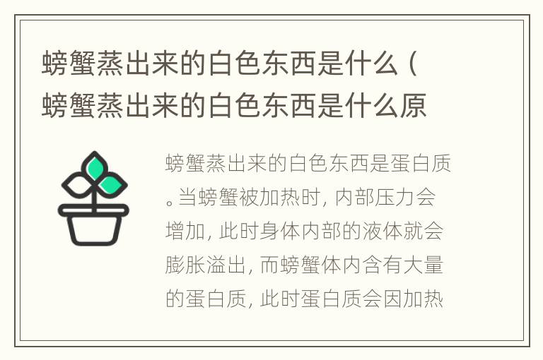 螃蟹蒸出来的白色东西是什么（螃蟹蒸出来的白色东西是什么原因）