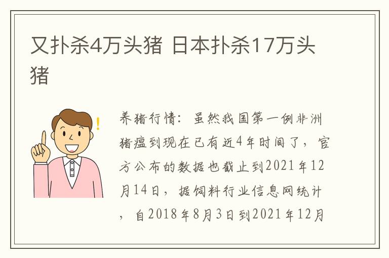 又扑杀4万头猪 日本扑杀17万头猪