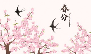 春分节气的特点和风俗是什么 关于春分节气的特点和风俗介绍