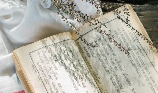 卫青与霍去病什么关系 关于卫青与霍去病