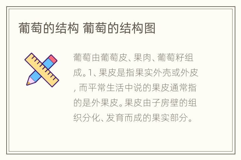 葡萄的结构 葡萄的结构图