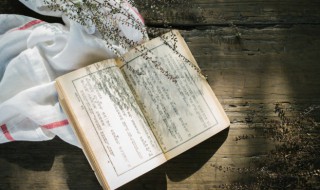 语寄天涯客轻寒底用愁什么意思 语寄天涯客轻寒底用愁全诗