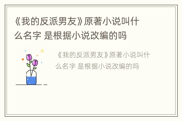 《我的反派男友》原著小说叫什么名字 是根据小说改编的吗