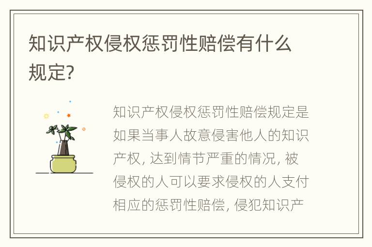 知识产权侵权惩罚性赔偿有什么规定？
