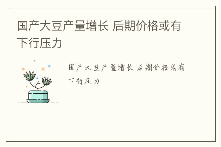 国产大豆产量增长 后期价格或有下行压力
