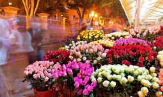 26种常见玫瑰花品种 玫瑰花的相关知识