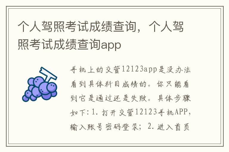 个人驾照考试成绩查询，个人驾照考试成绩查询app