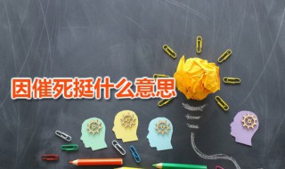 因催死挺什么意思 因吹斯汀对应哪个单词