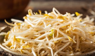 绿豆芽快速去皮方法 绿豆芽快速去皮方法妙招