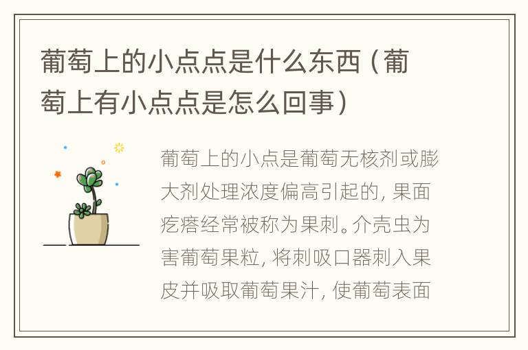 葡萄上的小点点是什么东西（葡萄上有小点点是怎么回事）