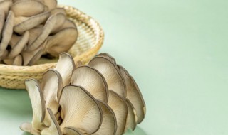 蘑菇汤怎么做好吃 蘑菇汤做好吃的方法