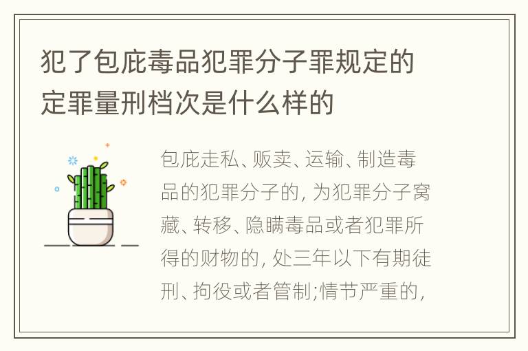 犯了包庇毒品犯罪分子罪规定的定罪量刑档次是什么样的