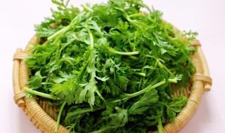 茼蒿的功效 盘点吃茼蒿的好处