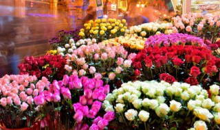 独一无二的花店名字 花店名字独一无二