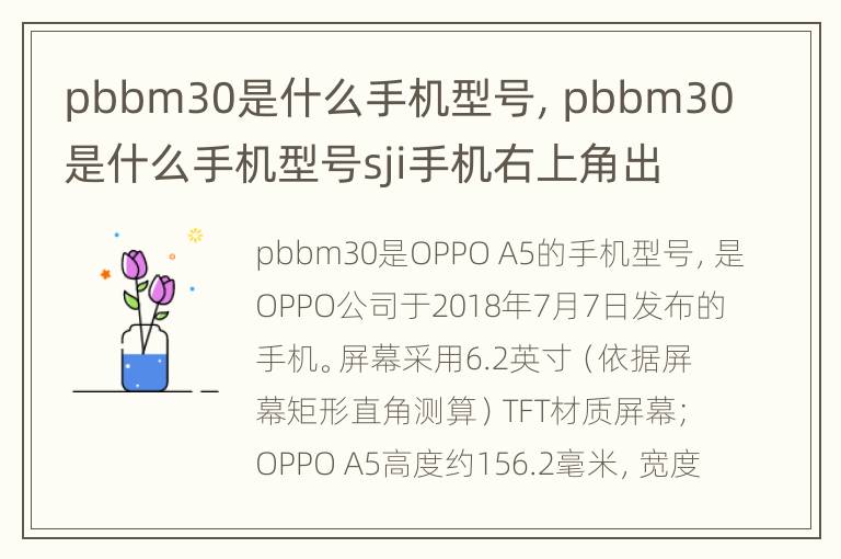 pbbm30是什么手机型号，pbbm30是什么手机型号sji手机右上角出现无障碍怎么关