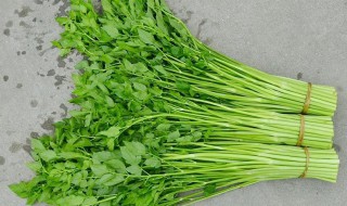 水芹菜和毒芹有哪些区别 水芹菜和毒芹区别是什么