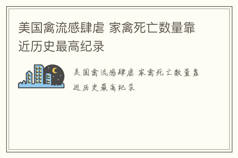 美国禽流感肆虐 家禽死亡数量靠近历史最高纪录