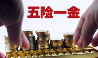 如何查询自己的五险一金 怎么查询自己的五险一金