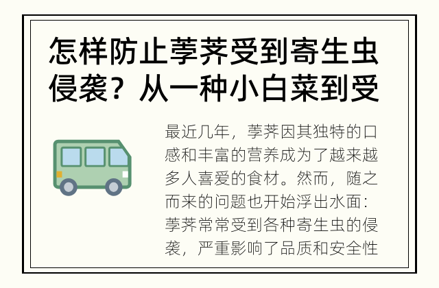 怎样防止荸荠受到寄生虫侵袭？ 从一种小白菜到受人喜欢的食材