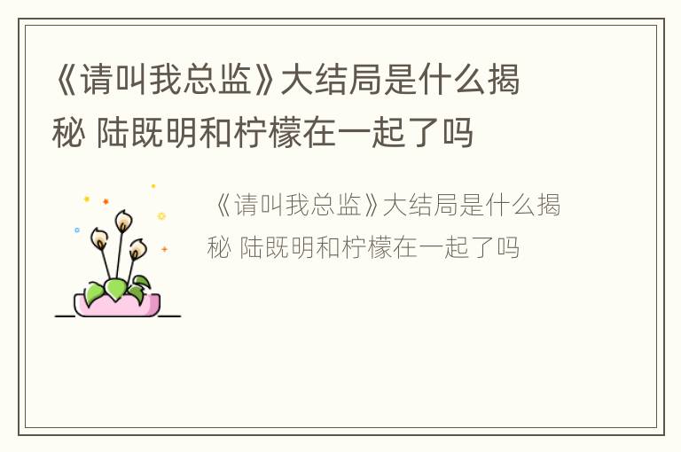 《请叫我总监》大结局是什么揭秘 陆既明和柠檬在一起了吗