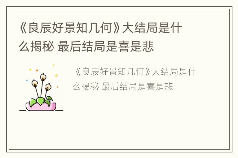 《良辰好景知几何》大结局是什么揭秘 最后结局是喜是悲