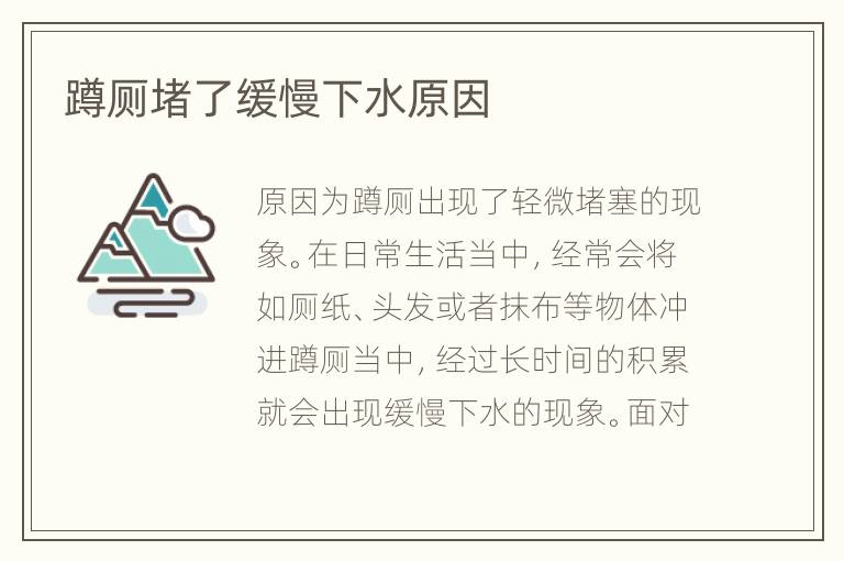 蹲厕堵了缓慢下水原因