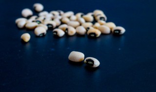 怎么种豆子 教宝宝怎样种豆子