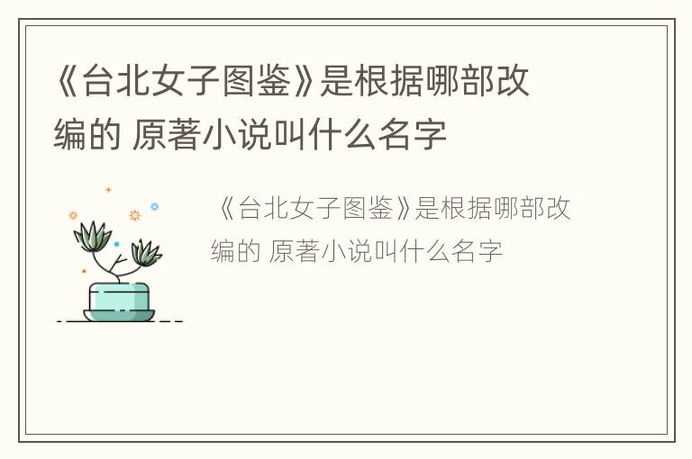 《台北女子图鉴》是根据哪部改编的 原著小说叫什么名字