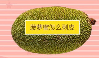 菠萝蜜怎么剥皮小窍门 菠萝蜜的剥皮方法